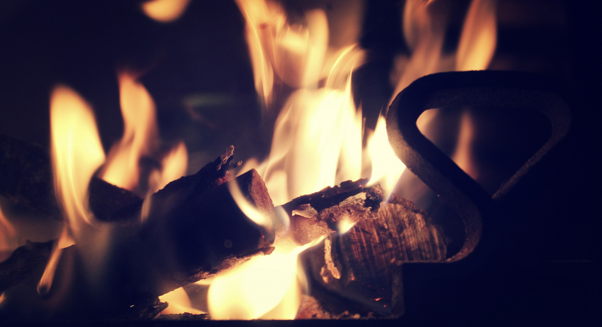 Quisque sed quam dolor. Ut non finibus metus. 