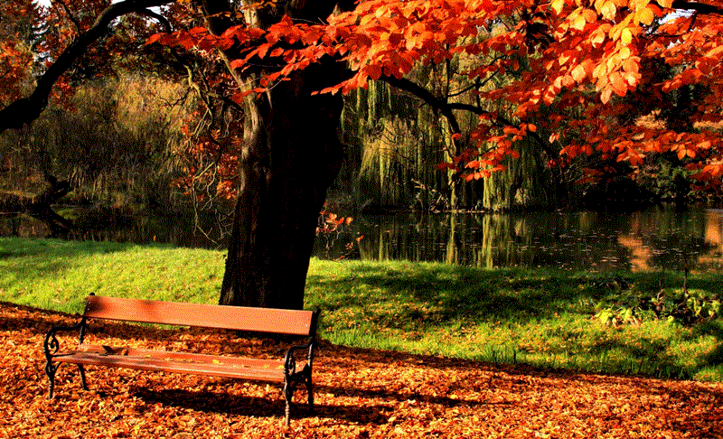 Testing steps and highlights