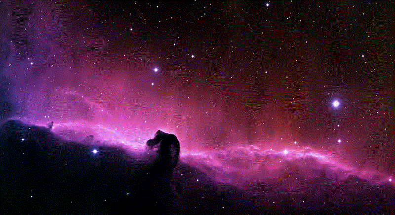  tempus. Proin ac molestie nunc. Mo