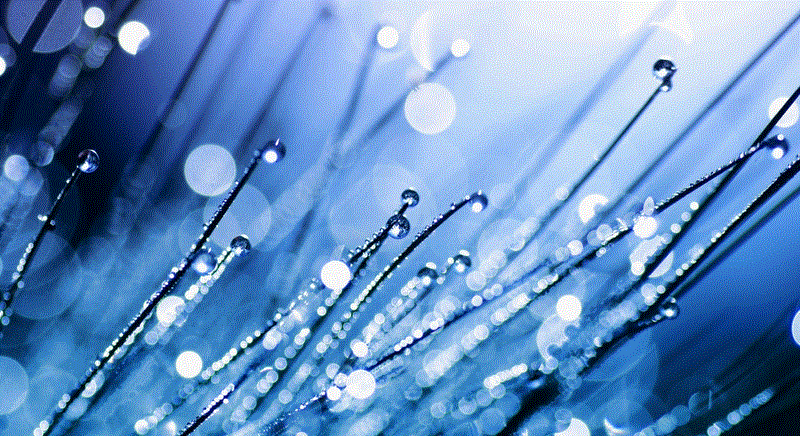  90% off on diam sit amet ultrices laoreet. Duis vitae enim v