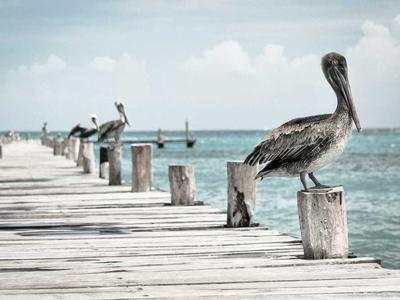 Lorem Ipsum is simply dummy text of the printing and typesetting industry