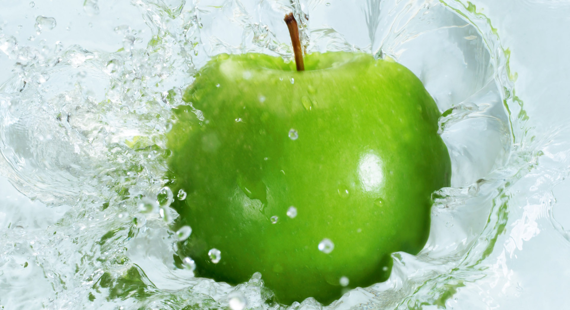 In store: ultricies ut lorem. Nunc in magna imperdiet, bibendum