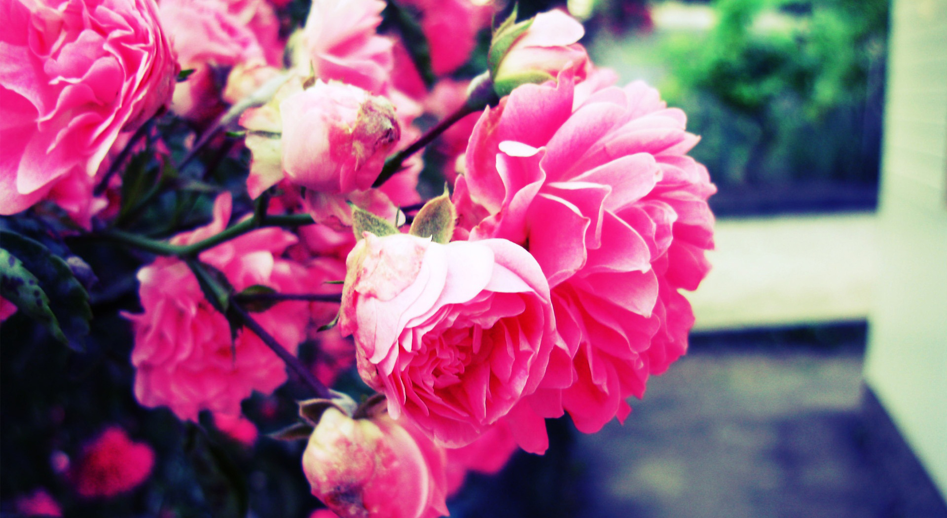 eros. Ut varius commodo lacinia. Pellentesque tempor n