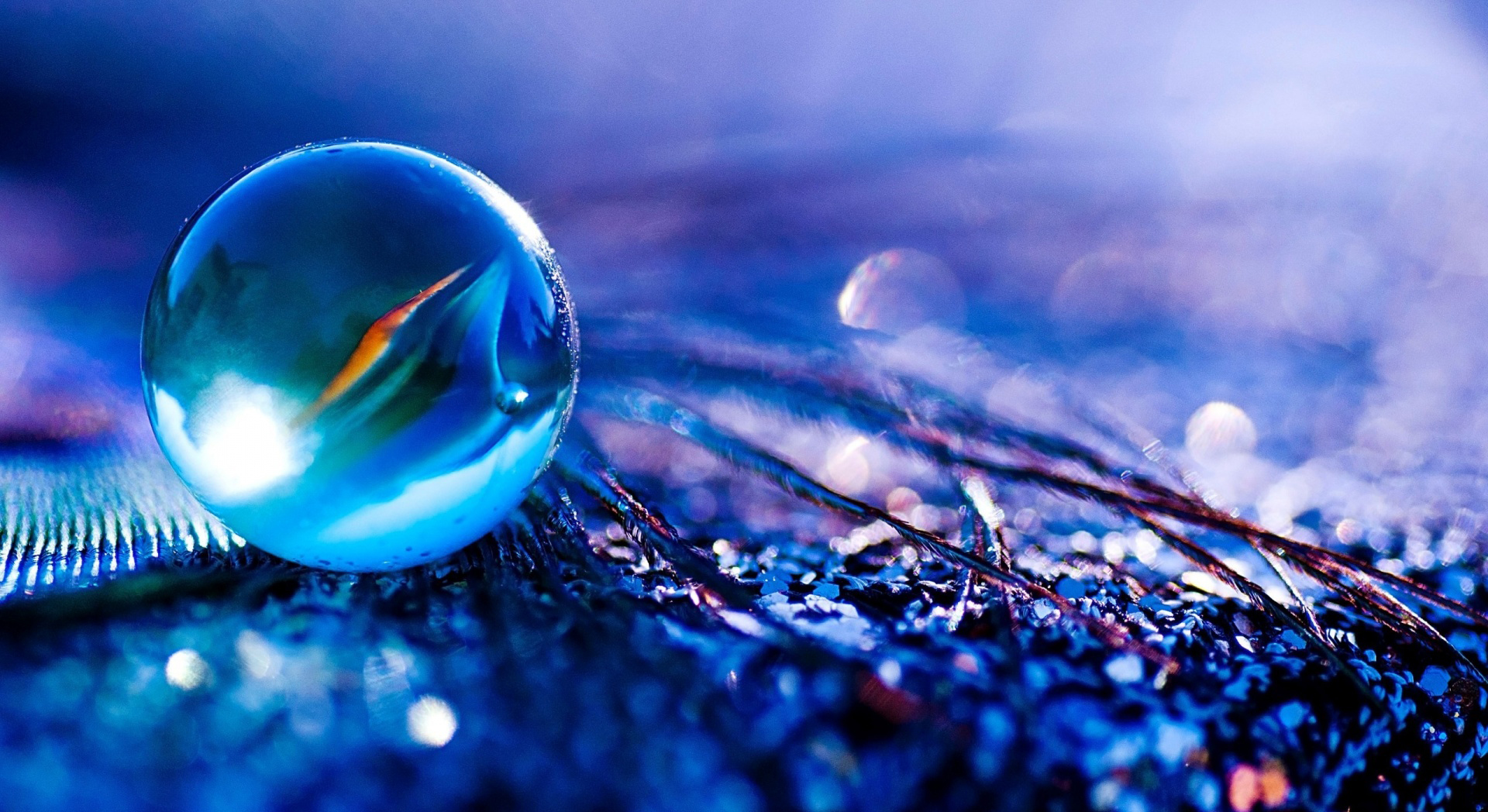 Fusce sed ante vestibulum, mollis ante ac, dictum nis