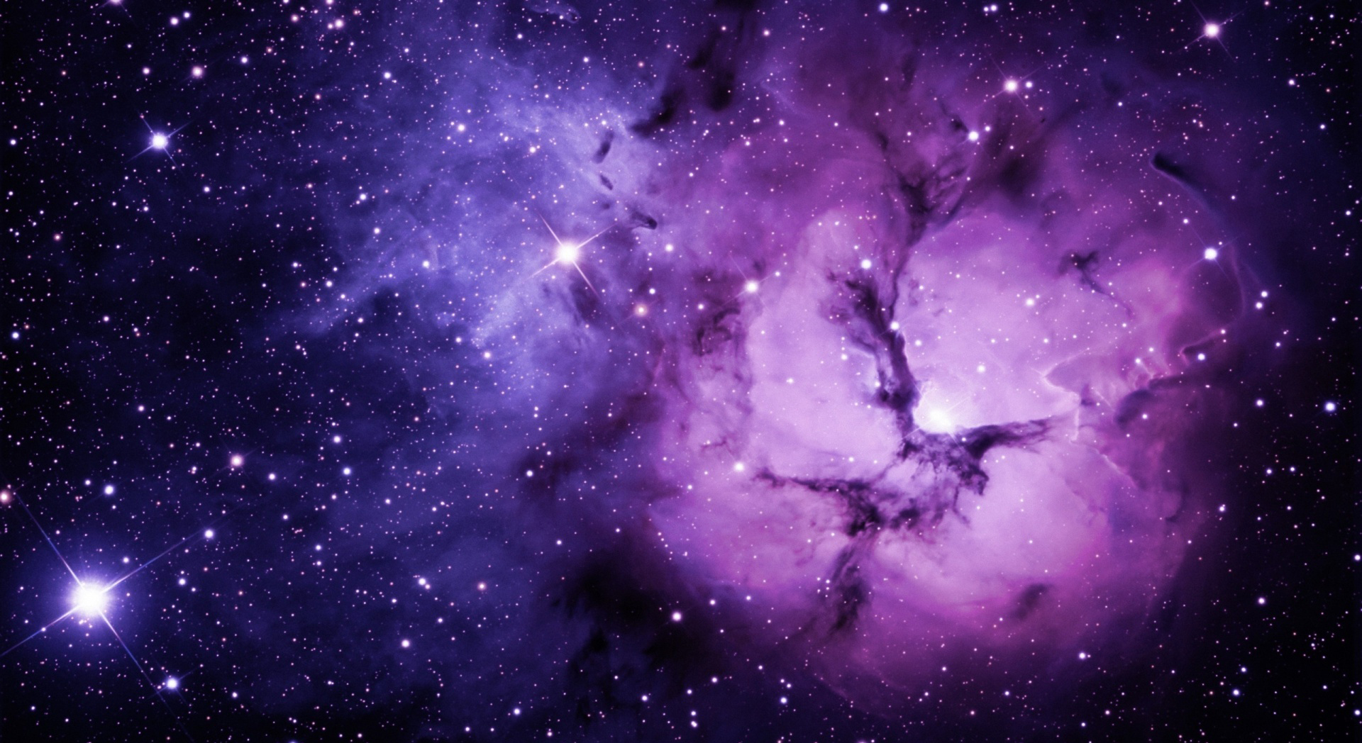  risus facilisis. Nulla nisl mauris, tempor nec do