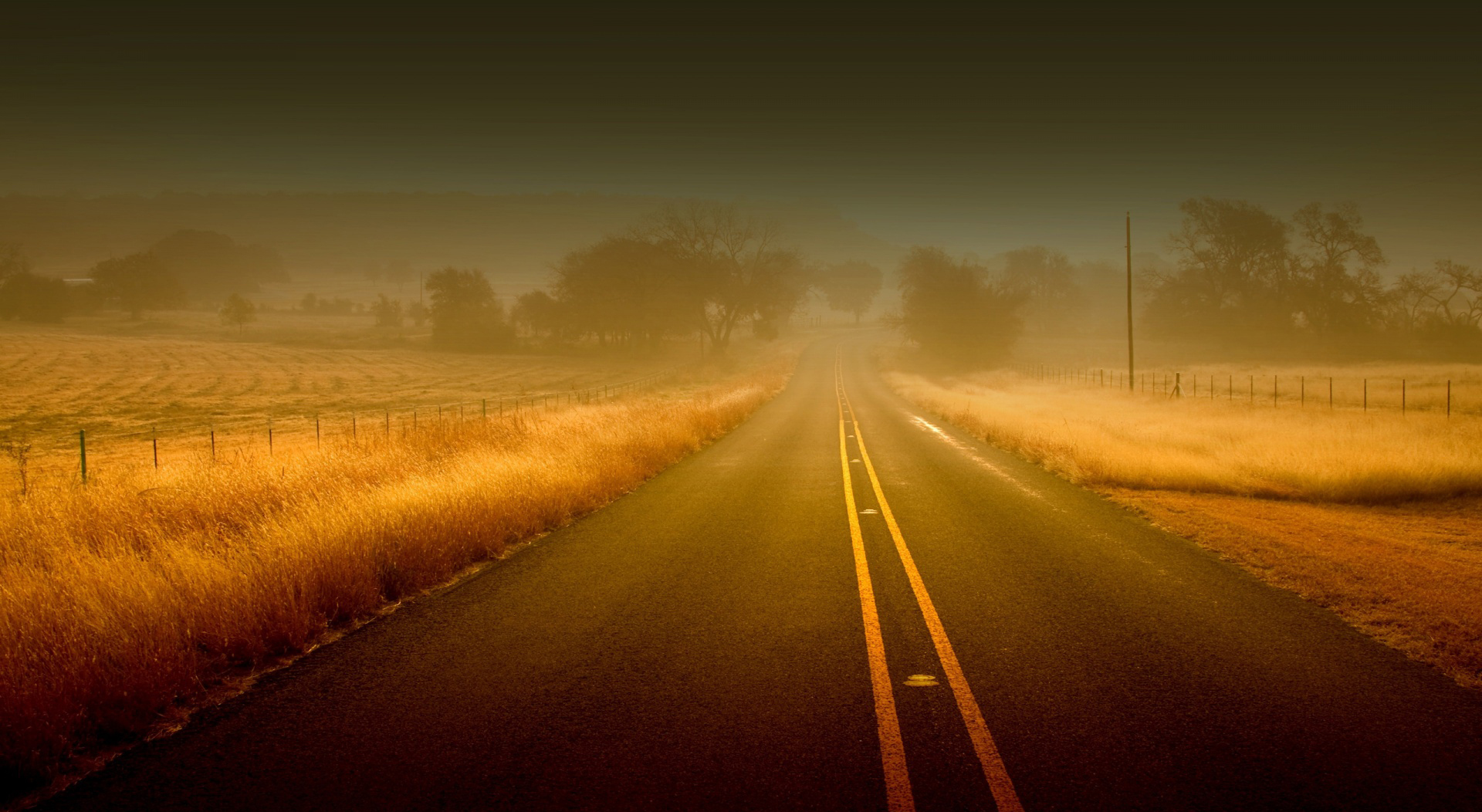 Mauris at eros vitae libero tristique scelerisque. Quisque odio lacus, port