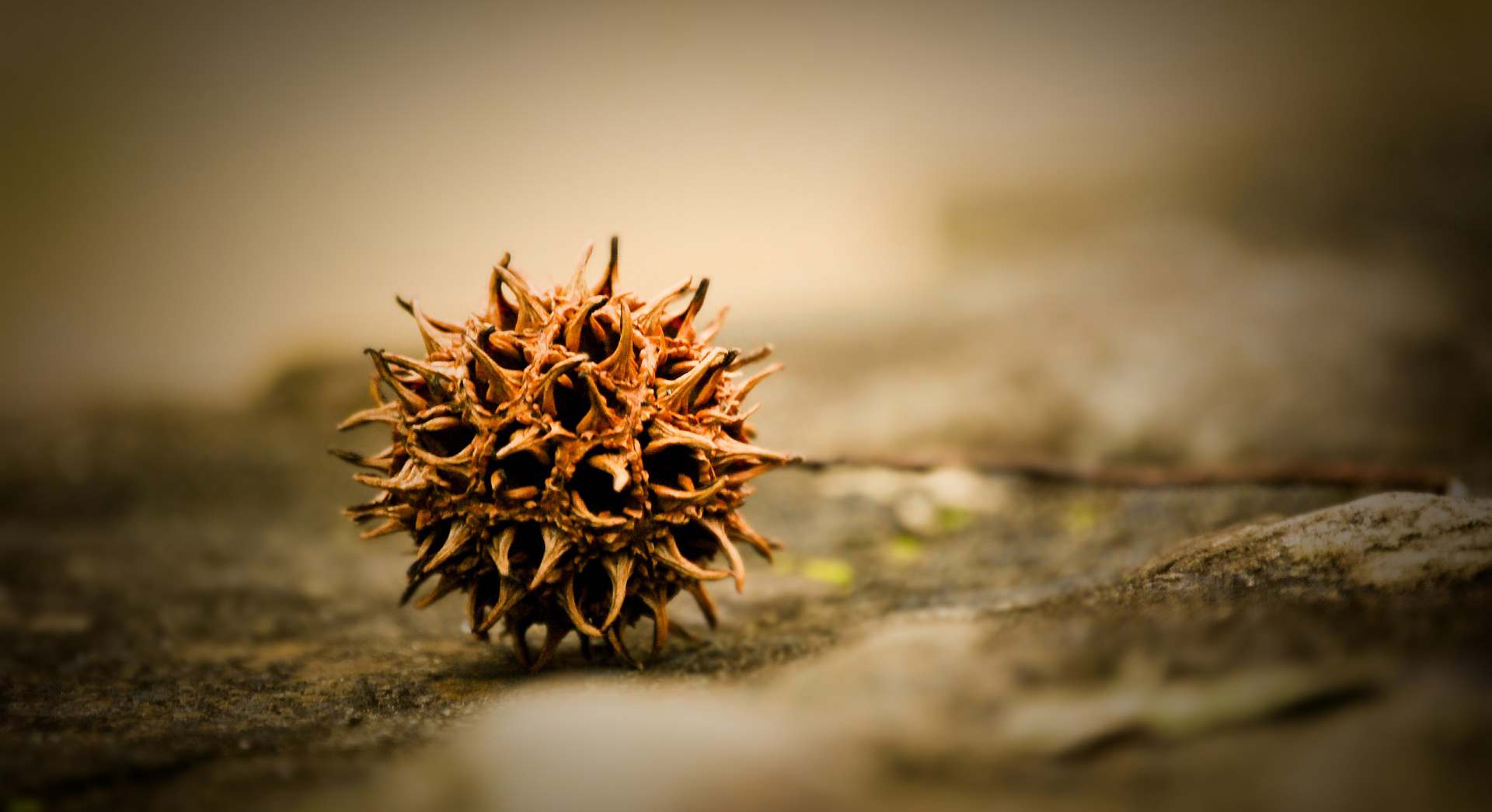 Fusce libero tortor, lacinia vitae nisl rutrum, co