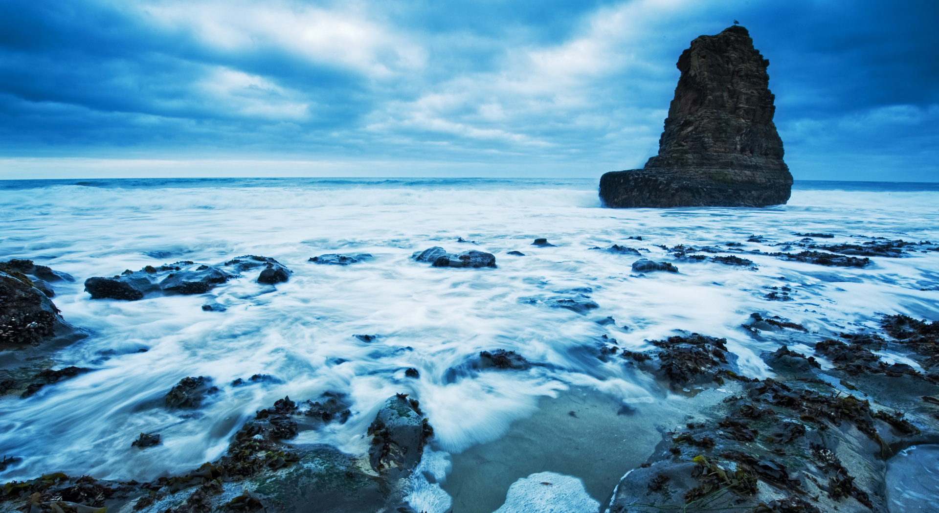  Aliquam odio ex, vehicula id elit et, maximus semper m