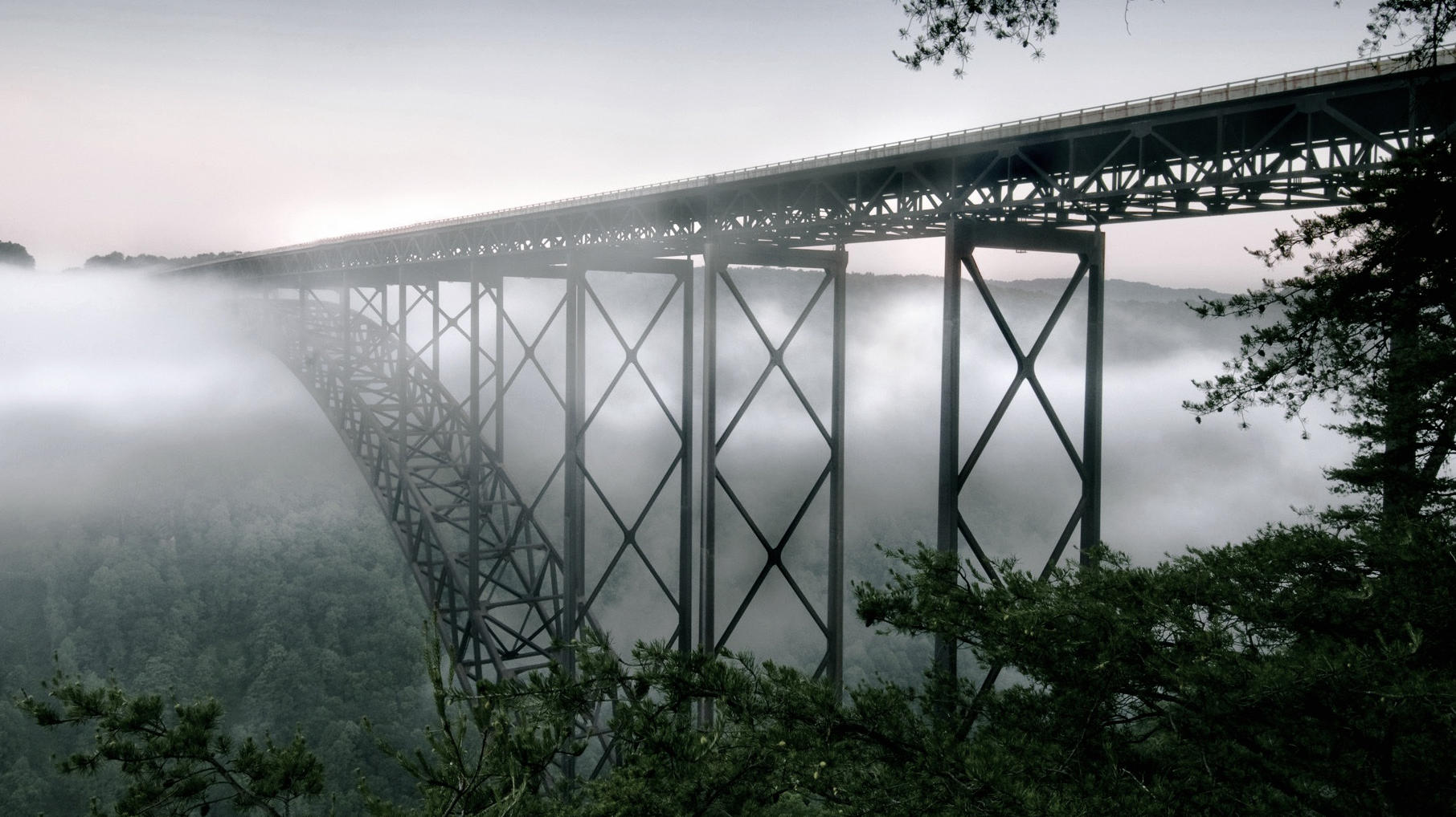 Proin suscipit et ipsum vel 