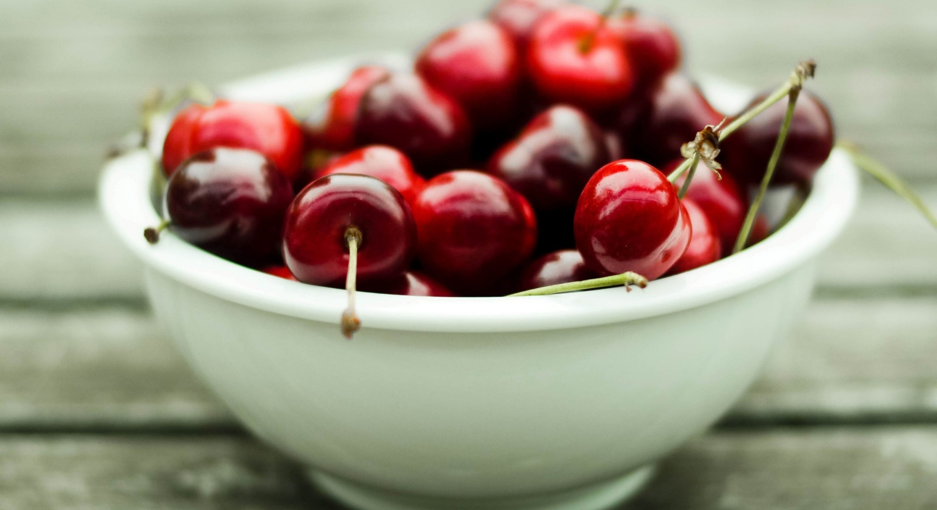 eget dolor fermentum mattis. Sed conse (Copy)