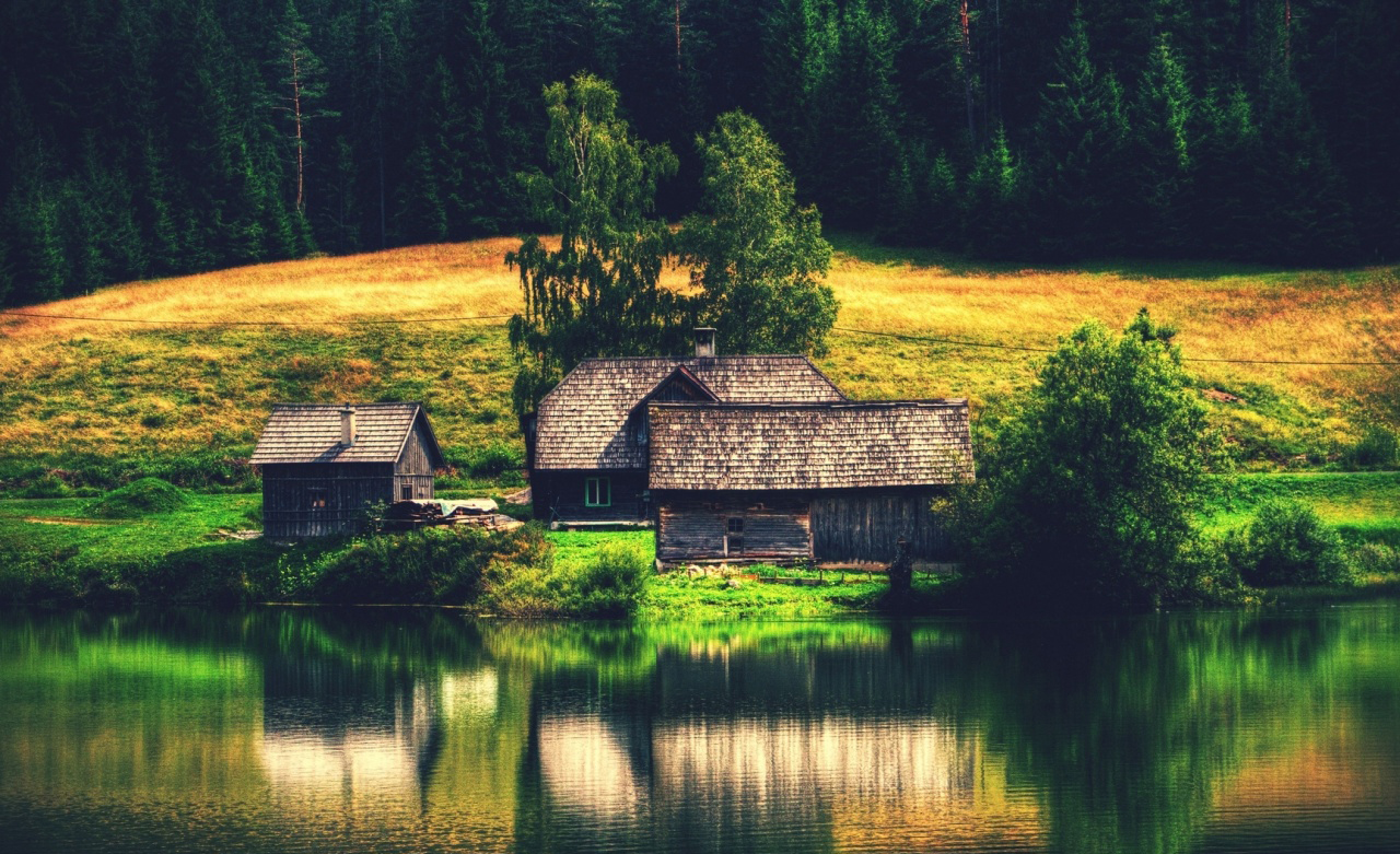 Lorem ipsum dolor sit am