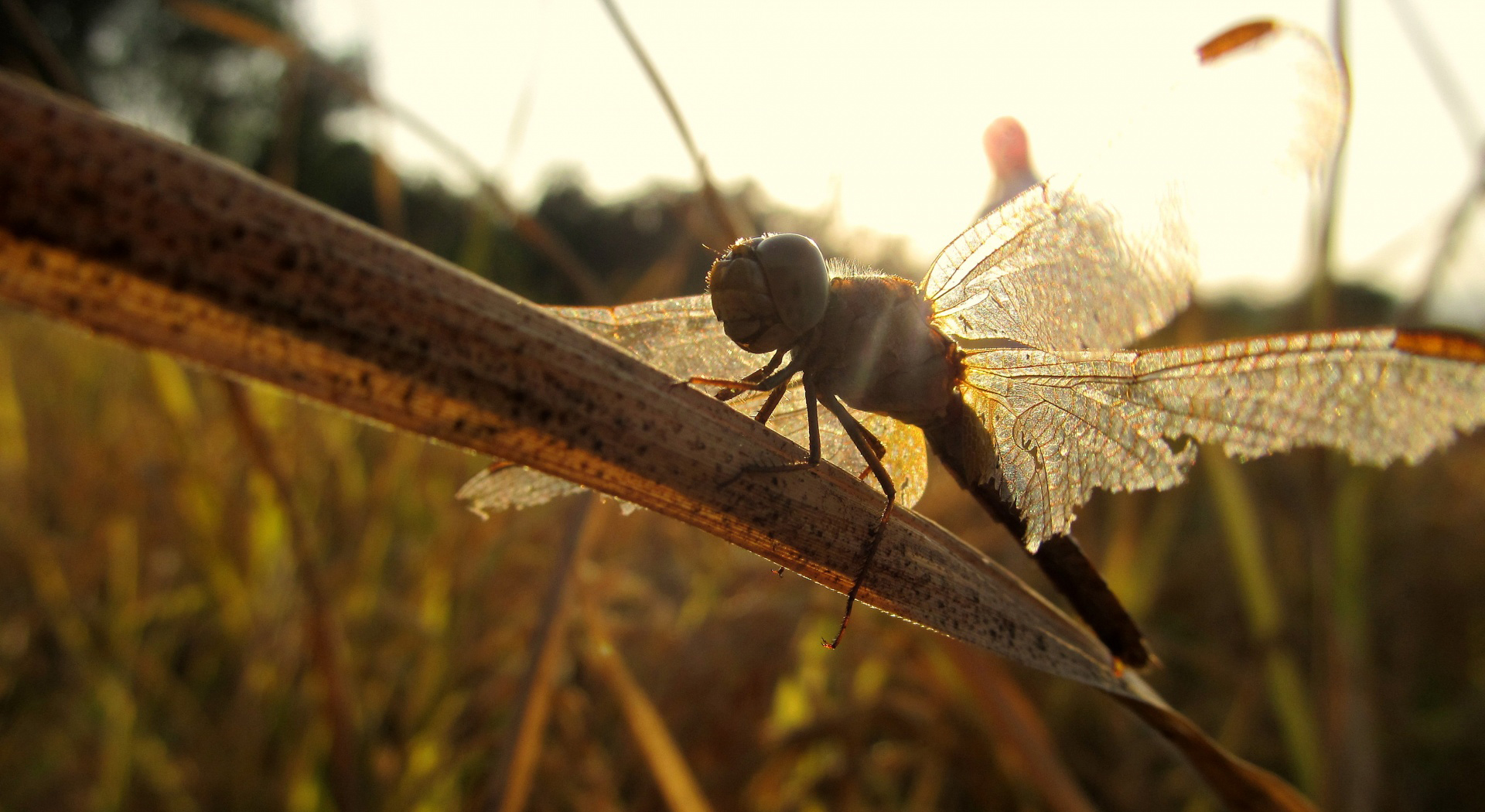 5% off Proin pharetra nunc id magna pretium pharetra. Curabitur quis ex tellu