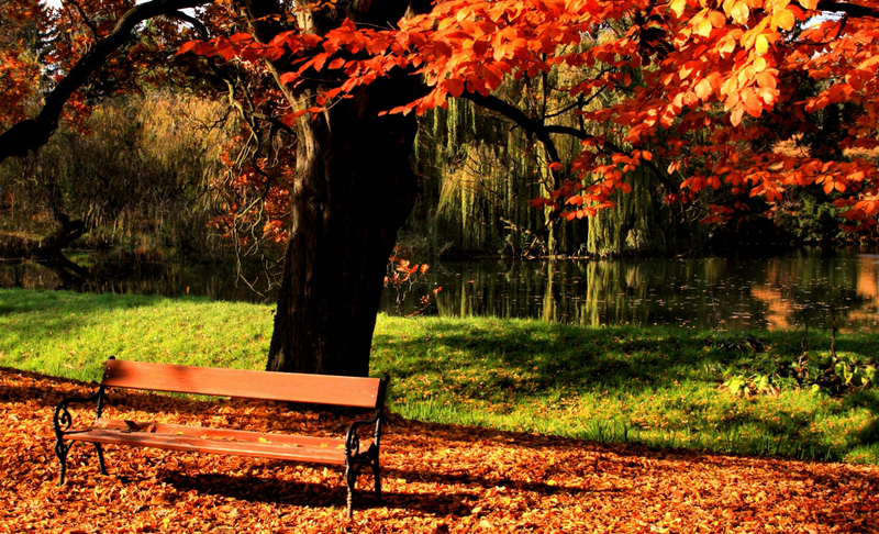 m in vestibulum. Fusce sit amet tellus id dui maximus vulputate non a ipsum.