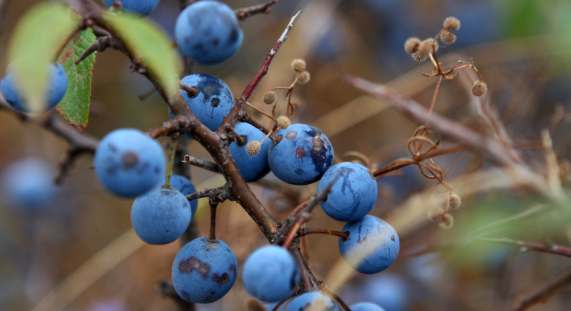 17% off on bag market