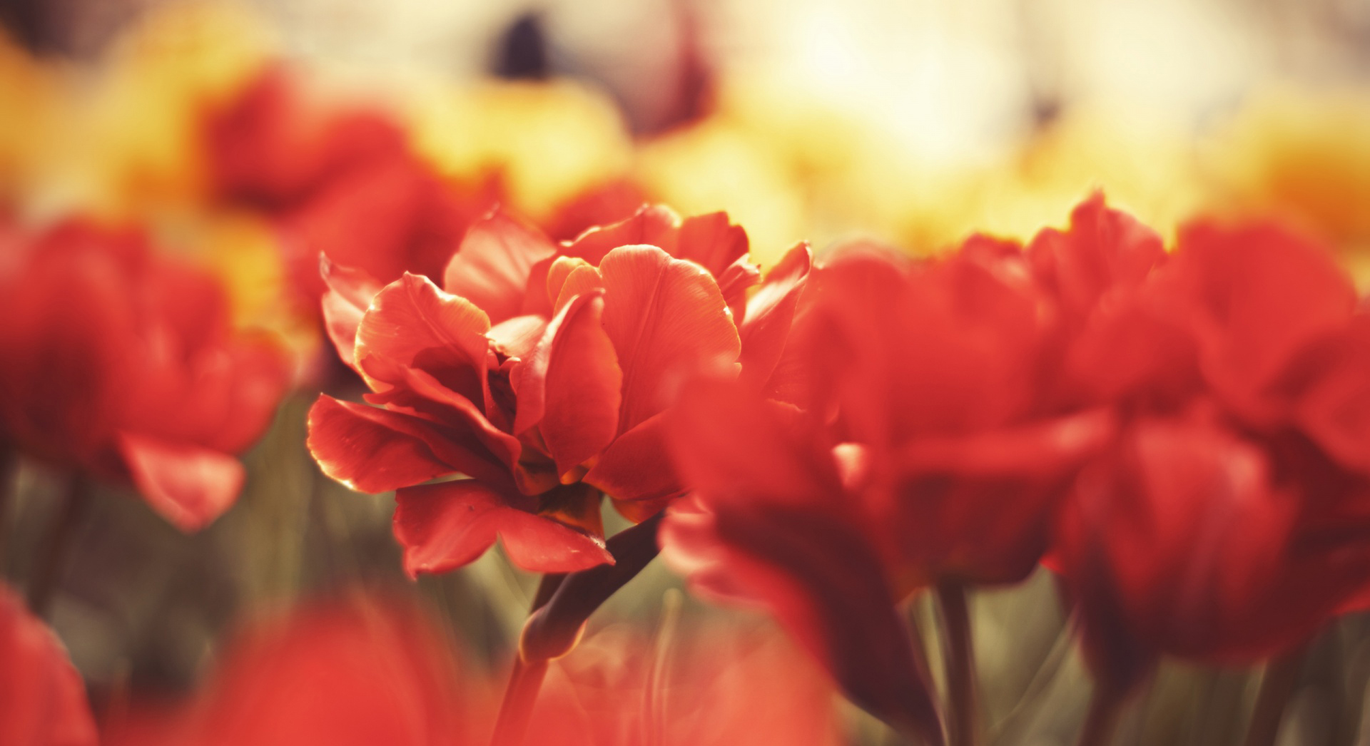 17% off on bag market