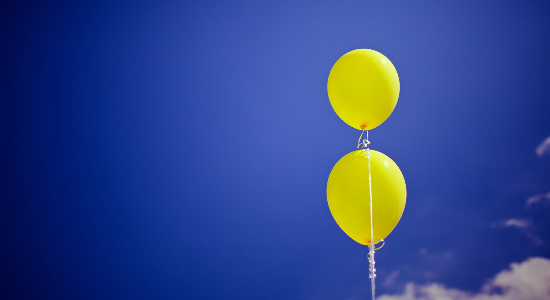 Maecenas vulputate consect