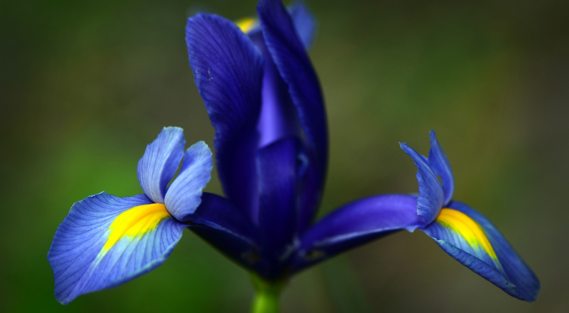 In store: ultricies ut lorem. Nunc in magna imperdiet, bibendum